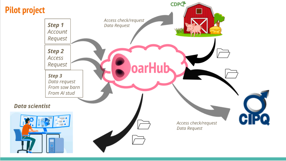 boarhubsteps.png boarhubsteps.png