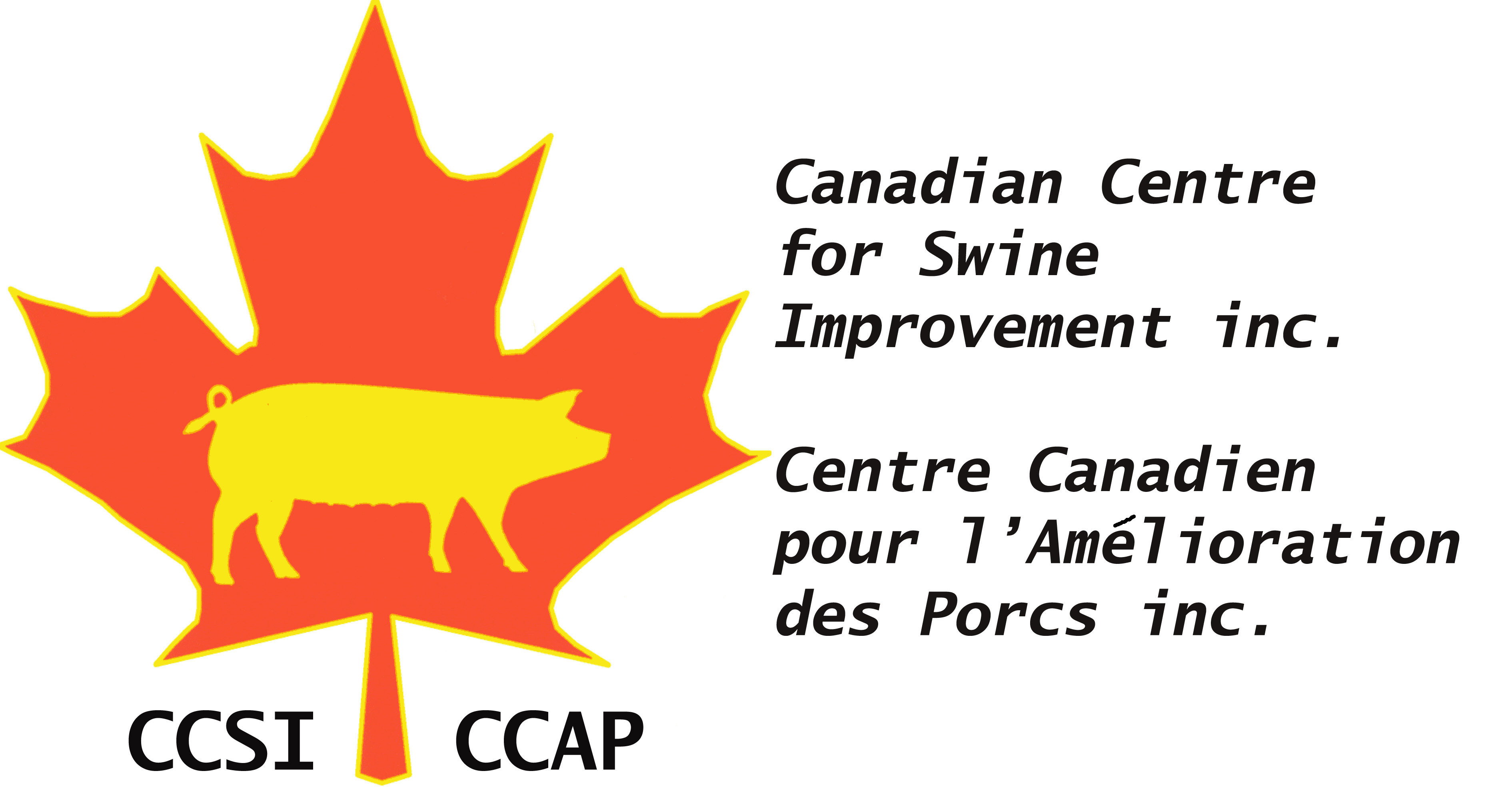 [[http://www.ccsi.ca]]